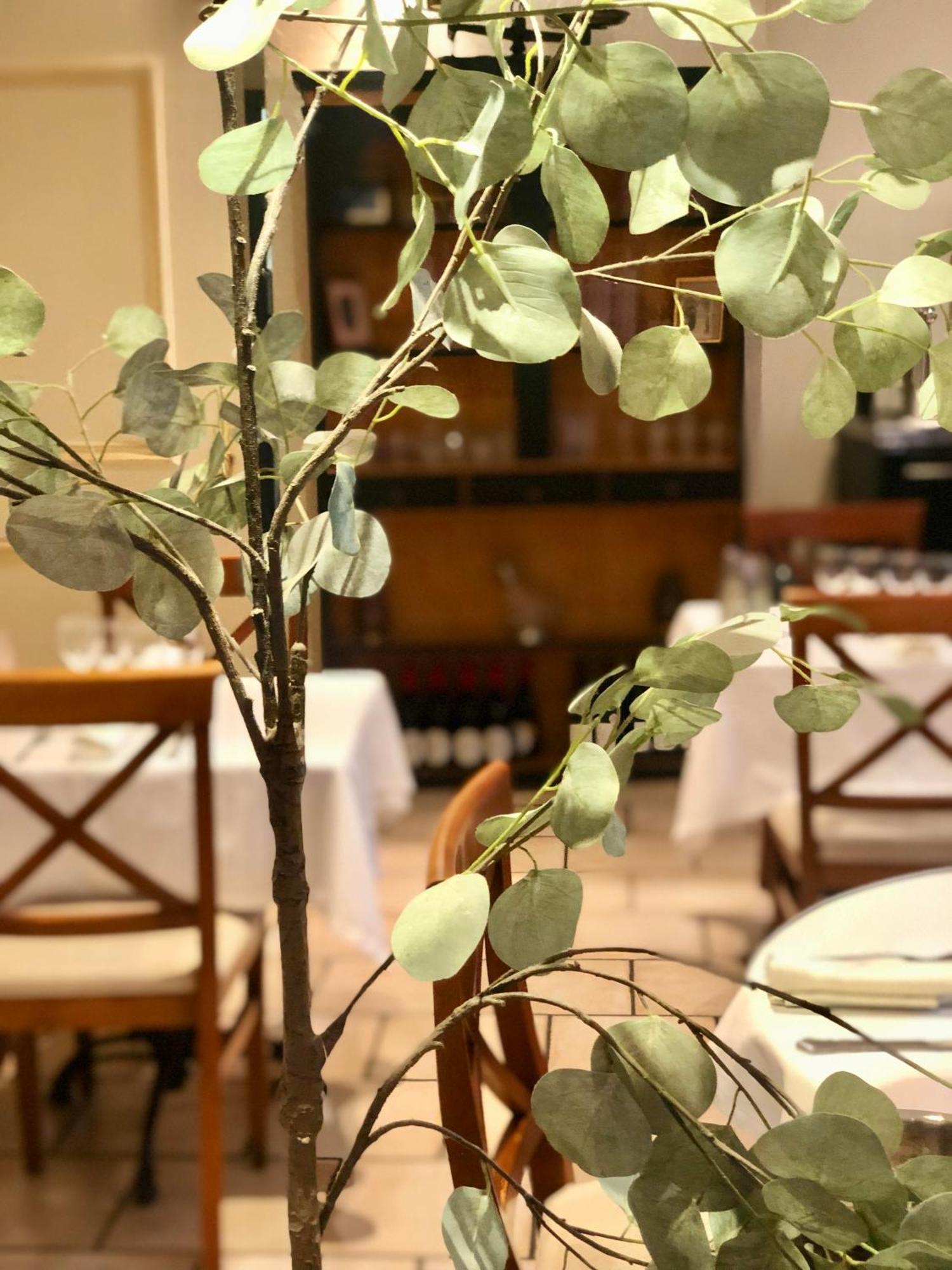 Logis Hotel Et Restaurant La Bastide Cabezac Bize-Minervois Zewnętrze zdjęcie